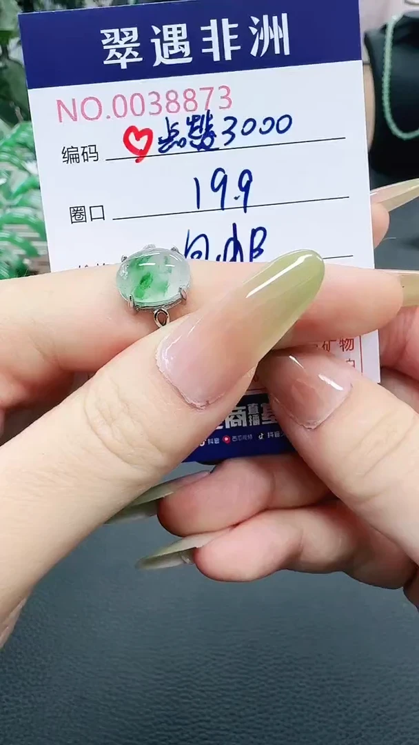 未镶嵌1石英质玉（非洲翠）?****࿐/8873