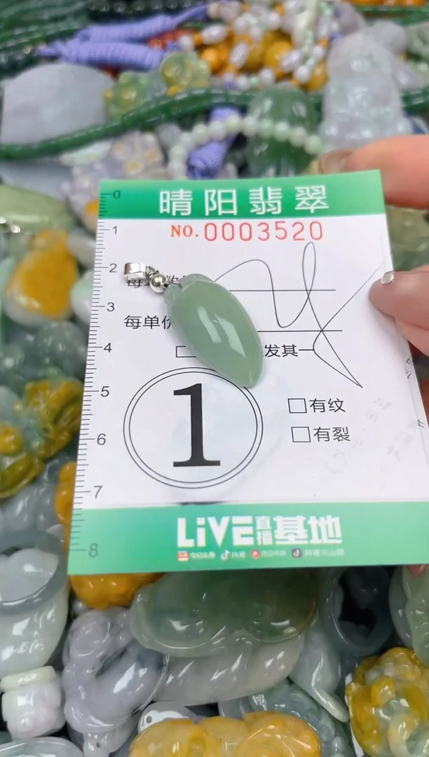 颈饰未镶嵌翡翠闪购0003520