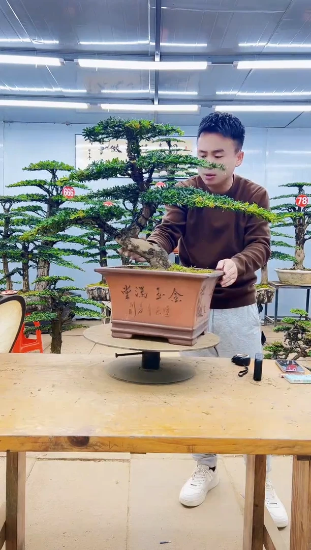 无花朵0000000000000000000