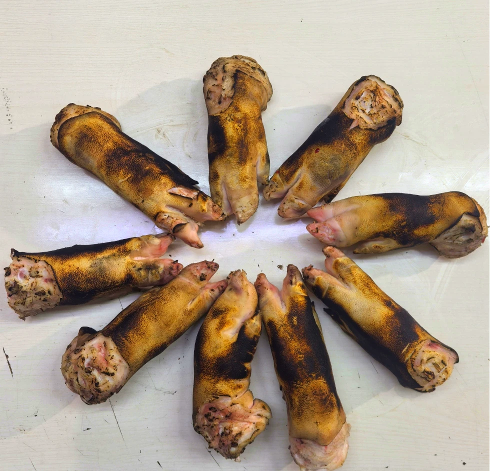 农村土猪猪蹄 有瑕疵 掉皮的 猪前蹄 满筋满肉 直播间选货