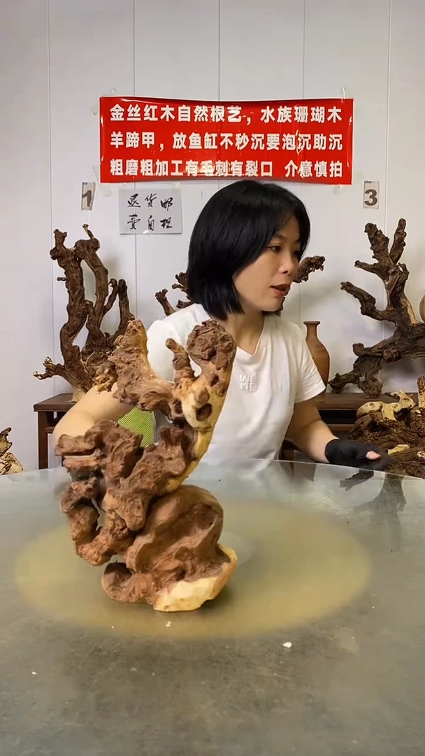 香榧木静**变金丝红木 羊蹄甲