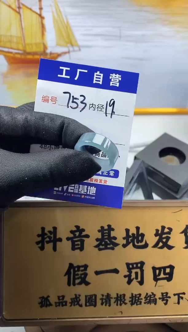 未镶嵌戒圈翡翠753
