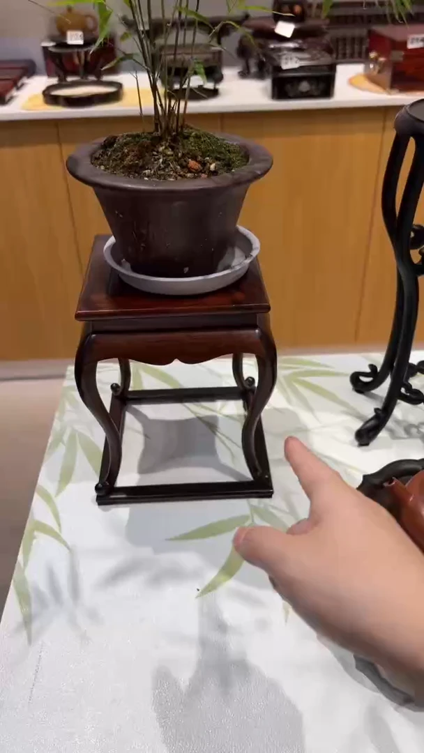 1紫砂紫砂紫砂紫砂紫砂