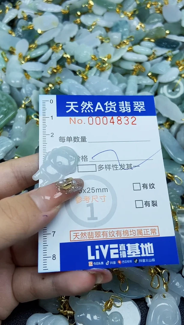 翡翠未镶嵌颈饰天然A货翡翠