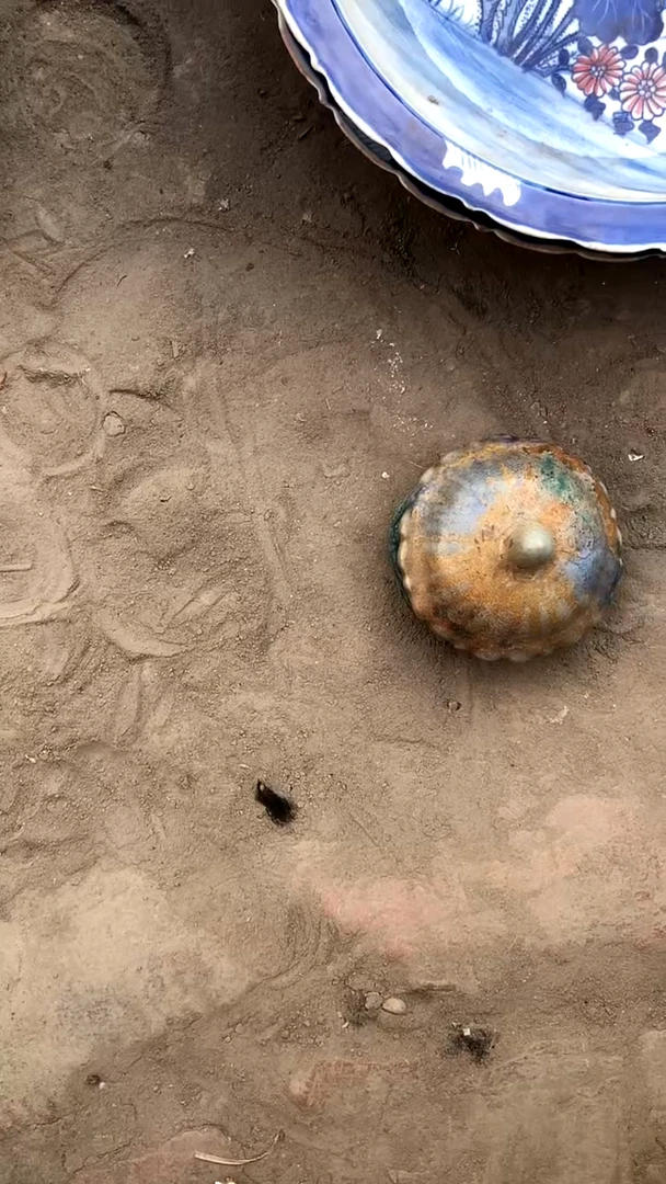 【闪购商品】搪瓷商用陶瓷代替链接（已直播间实物为准）