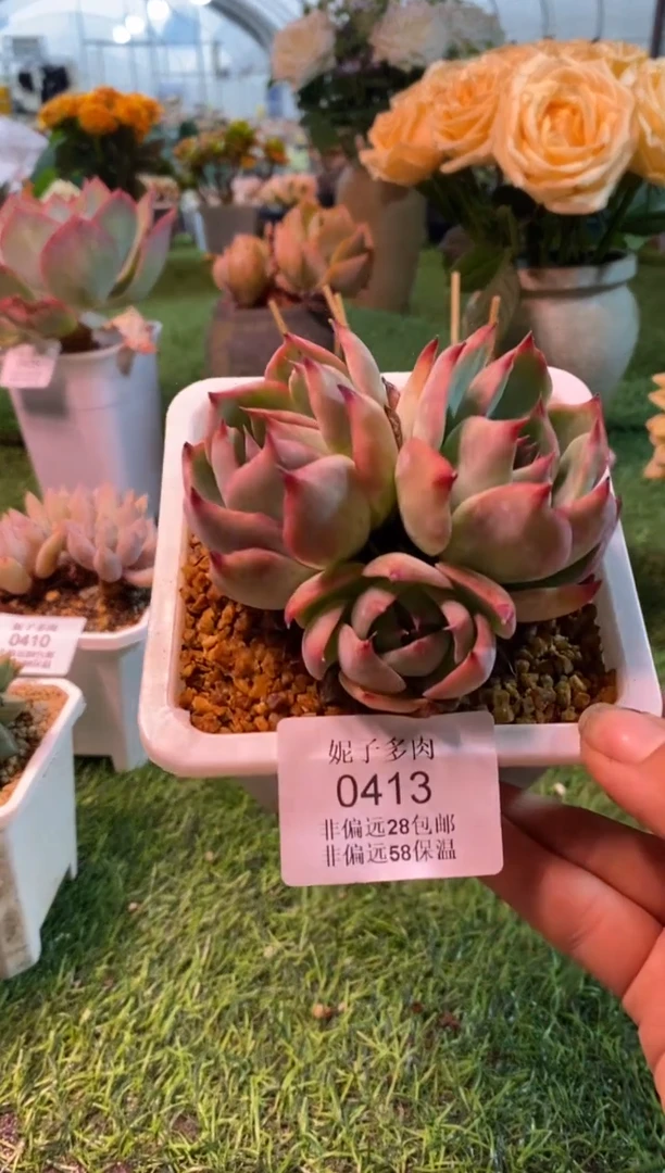 0413aa（满28包邮发货）