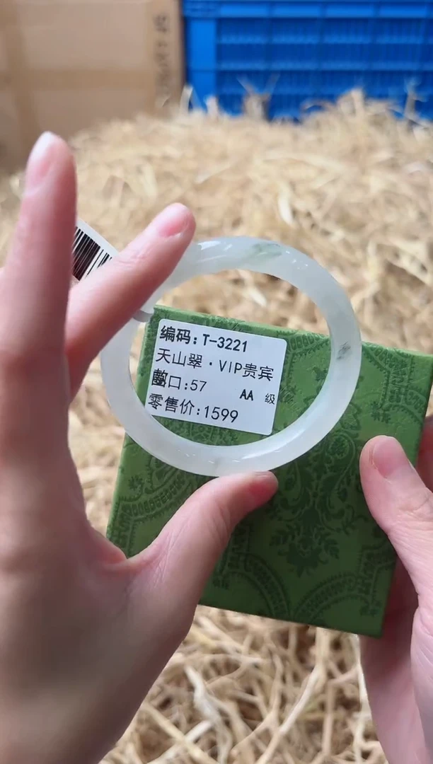 未镶嵌手镯石英质玉T-3221