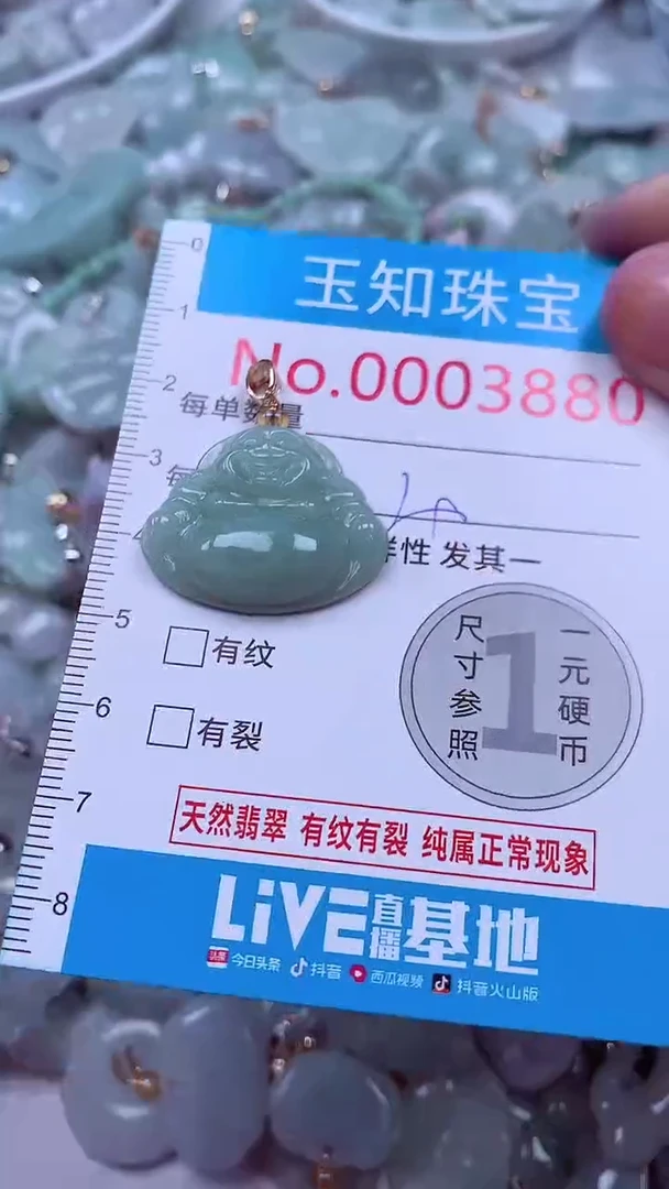 吊坠(不含链)未镶嵌翡翠3880