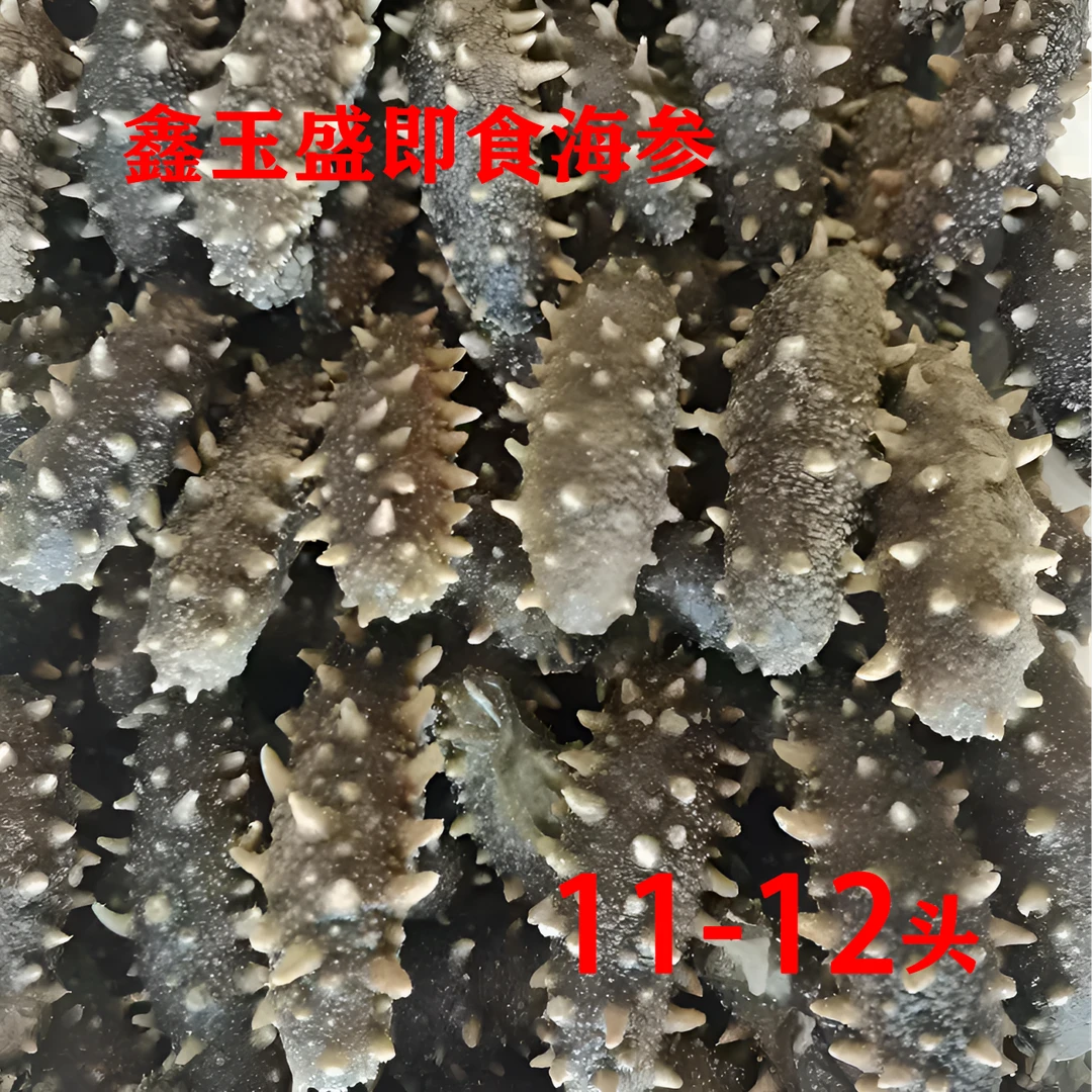 鑫玉盛辽参大连即食海参 11-12头 500g 赠海参
