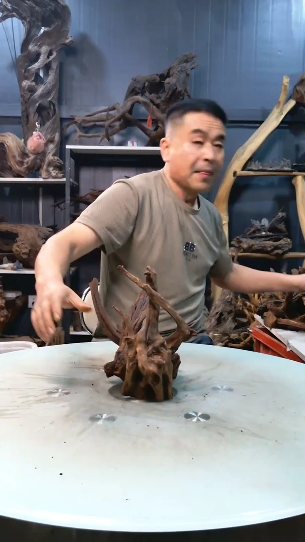 随机发货一个小号沉木9.9