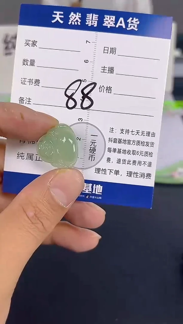 颈饰未镶嵌翡翠纯天然缅甸翡翠A货