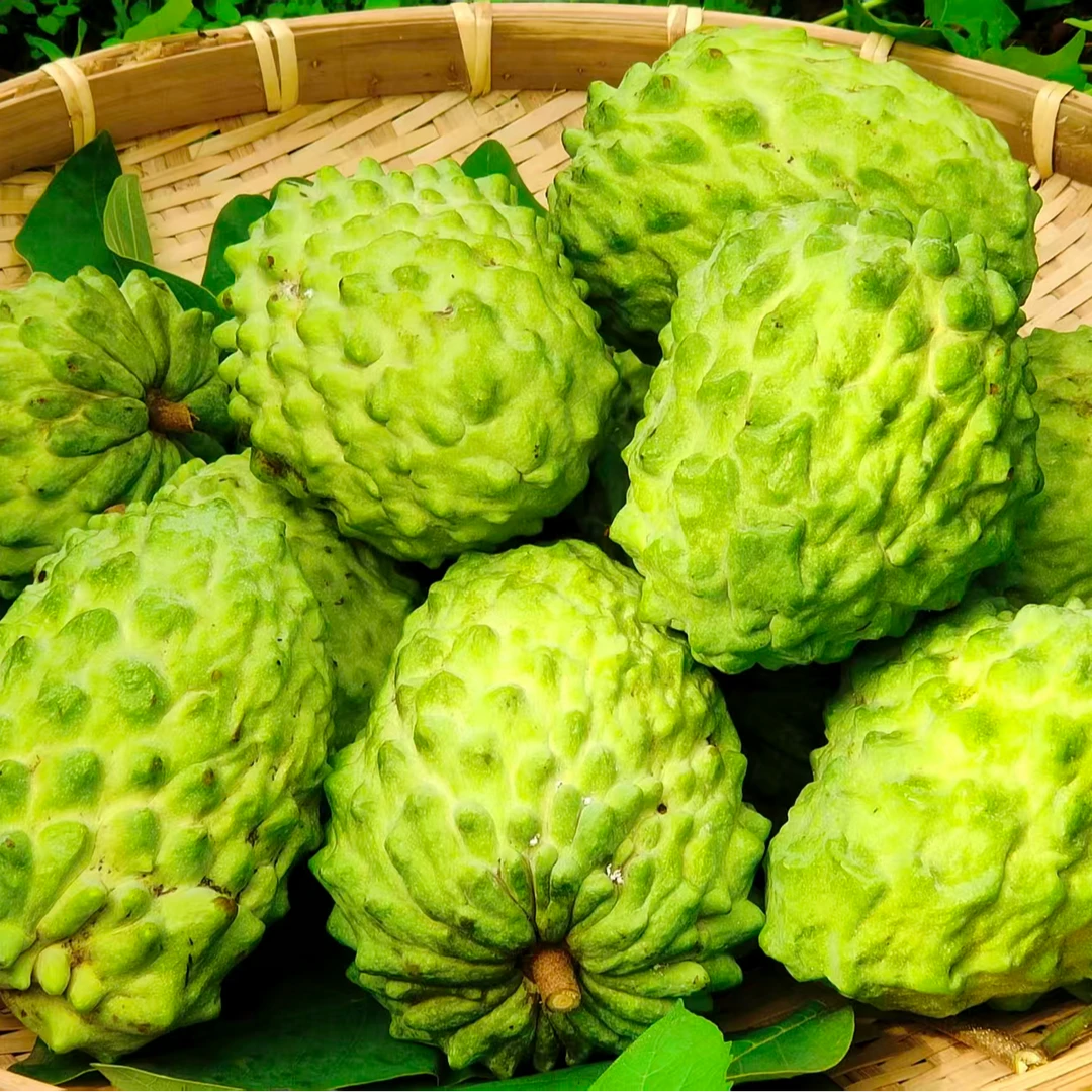 海南当季释迦果果园里现摘现发新鲜直达冰激凌般绵密口感3斤装