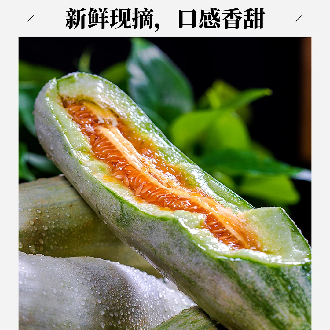 山东头茬羊角蜜甜瓜脆甜多汁应季水果新鲜现摘现发