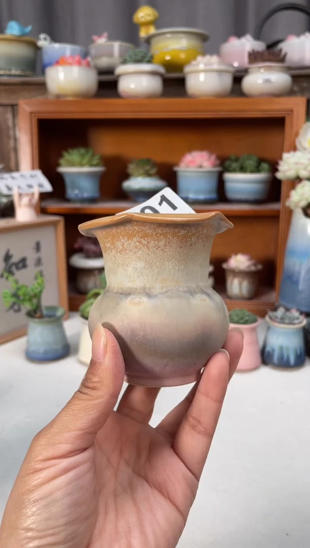 瓷片301小芳直播编号