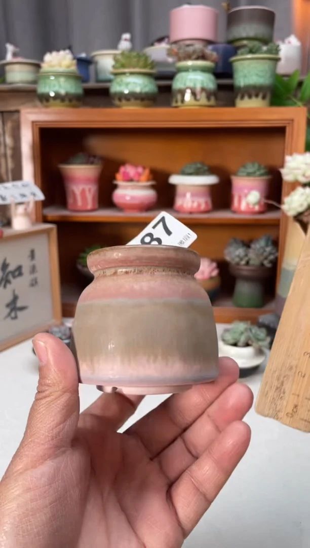 瓷片087小芳直播编号