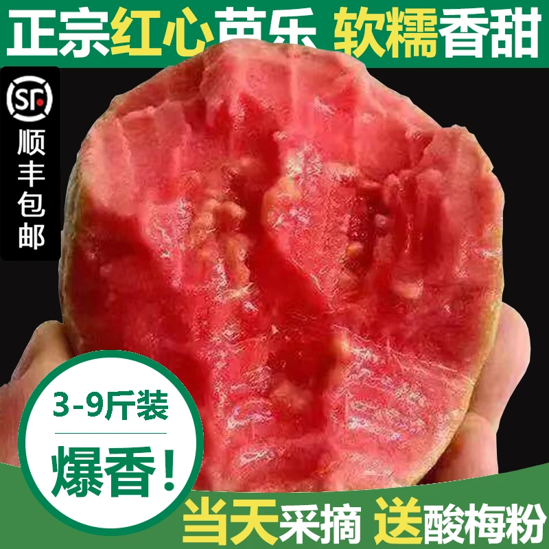 【顺丰包邮】红心芭乐软糯应季大果冰淇淋口感产地直发番石榴3斤5斤