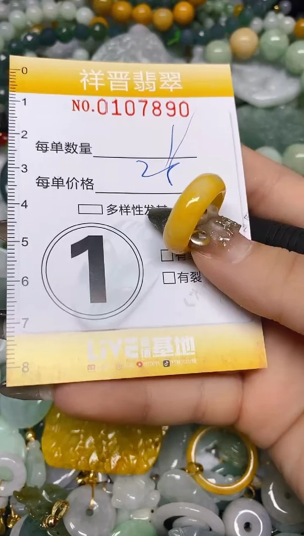 【闪购商品】翡翠颈饰未镶嵌闪购0107890