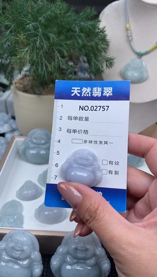 颈饰未镶嵌翡翠纯天然A货缅翡2757