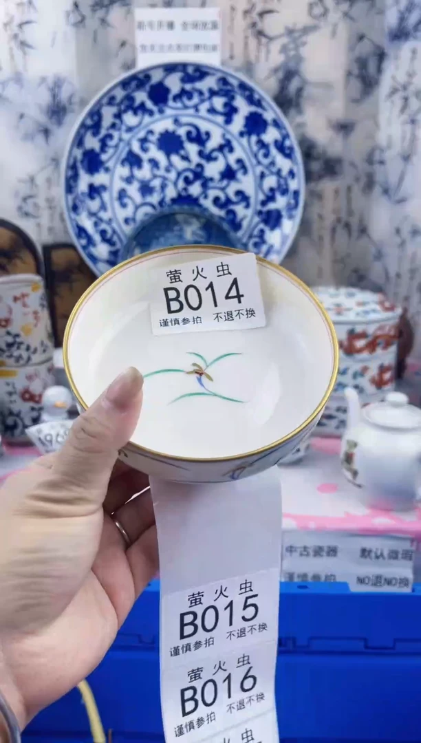 瓷片兰*BBBBBBBBBBBBB014