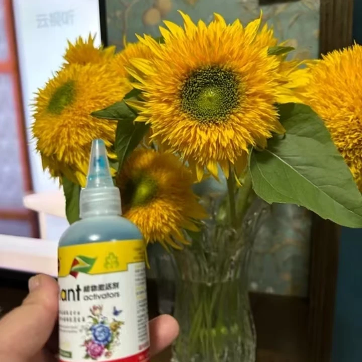 （小蓝瓶）植物激活剂 室内土培花草水培切花 室外园艺植物