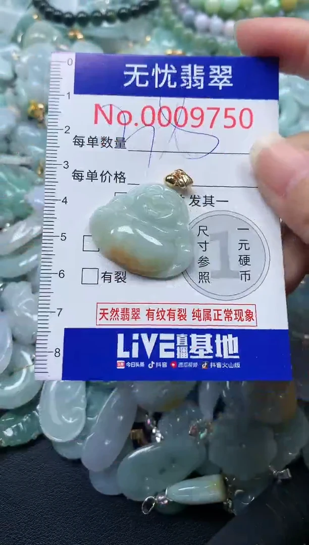 颈饰未镶嵌翡翠9750