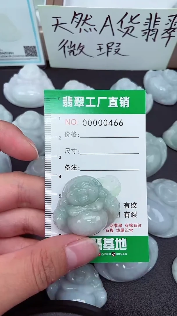 颈饰未镶嵌翡翠缅甸天然翡翠微微瑕0466