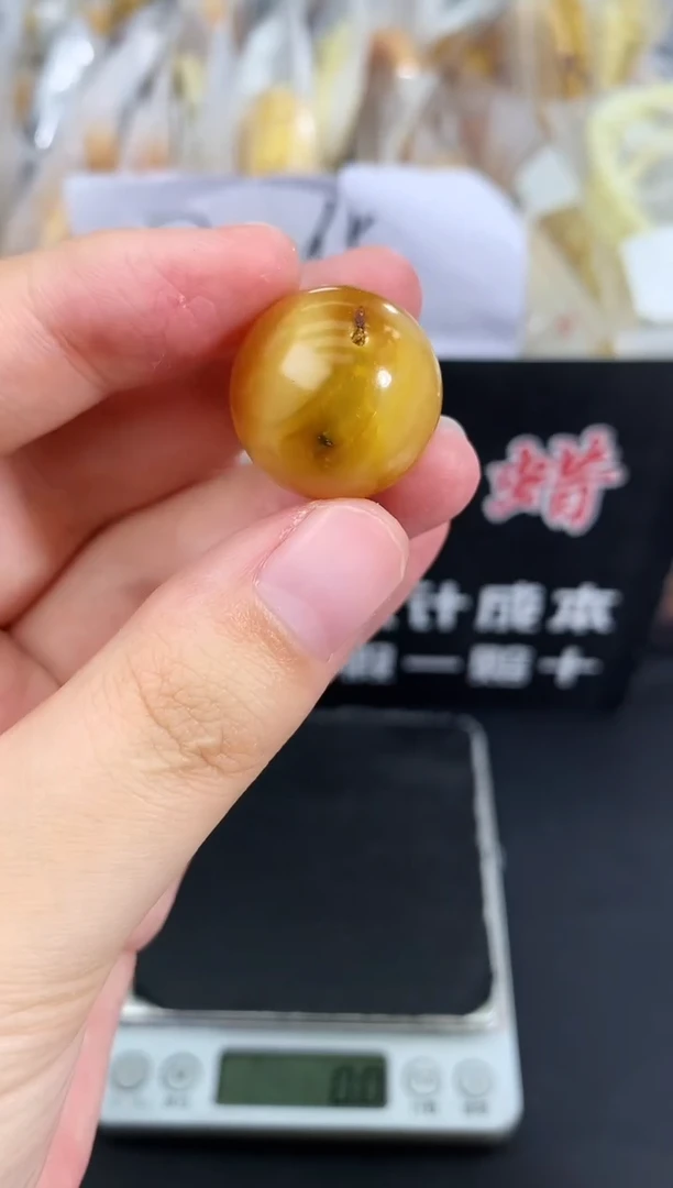 蜜蜡未镶嵌珠宝奇石48