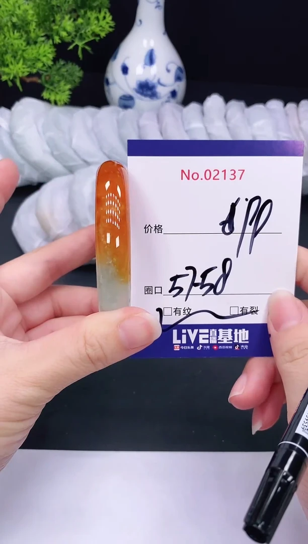 未镶嵌手镯翡翠2137