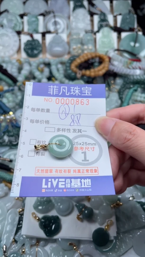 翡翠未镶嵌颈饰00..0863