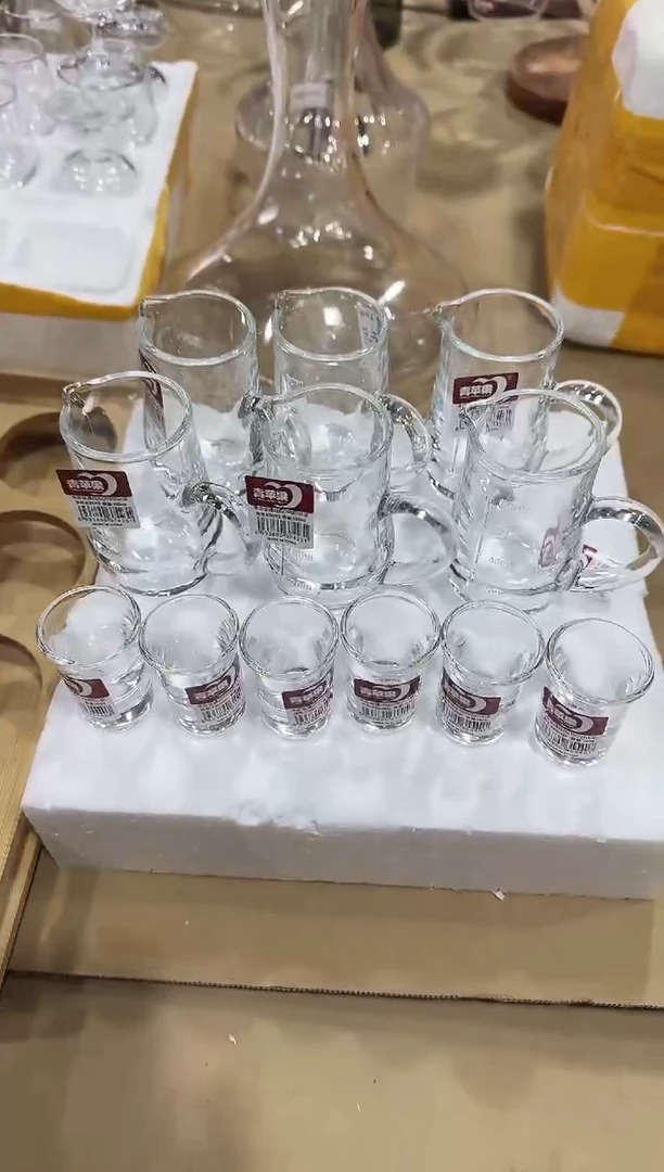 【闪购商品】玻璃无盖款直播专属6+6