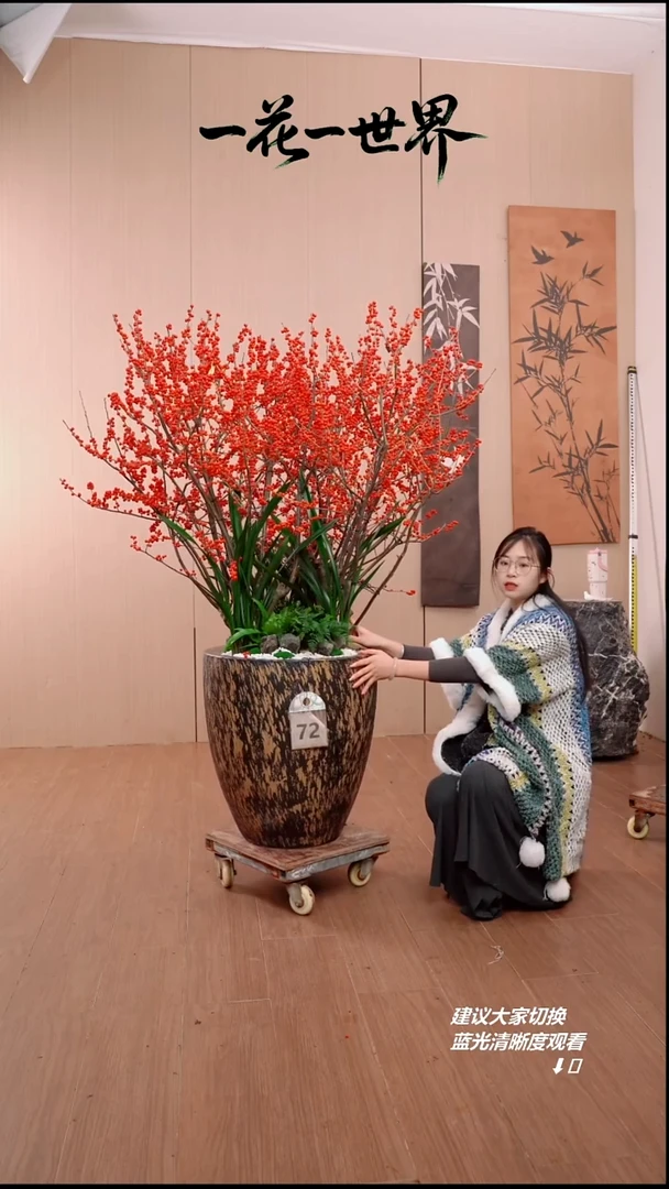 完全开放小*子72号链接