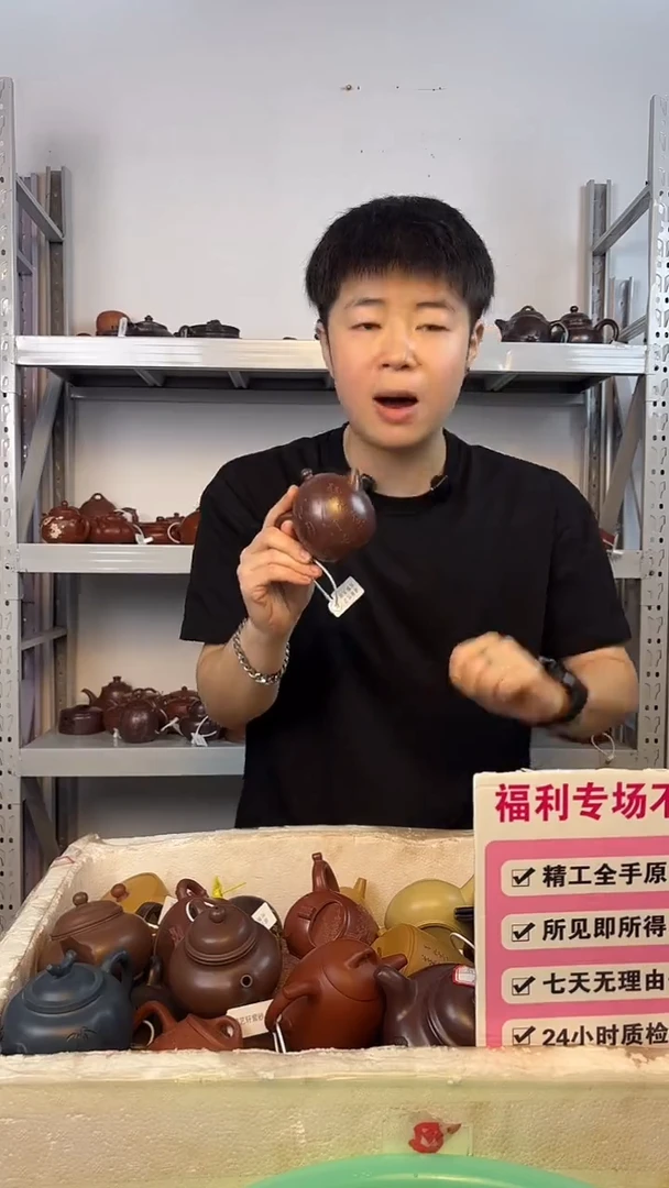 茶壶紫砂紫袍玉砂刻绘龙蛋（3）