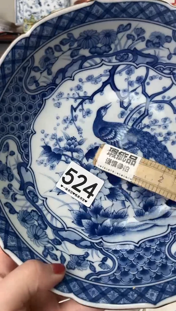 瓷片524..............