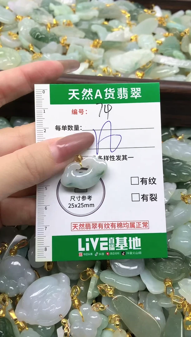 颈饰未镶嵌翡翠纯天然缅甸A货翡翠-74