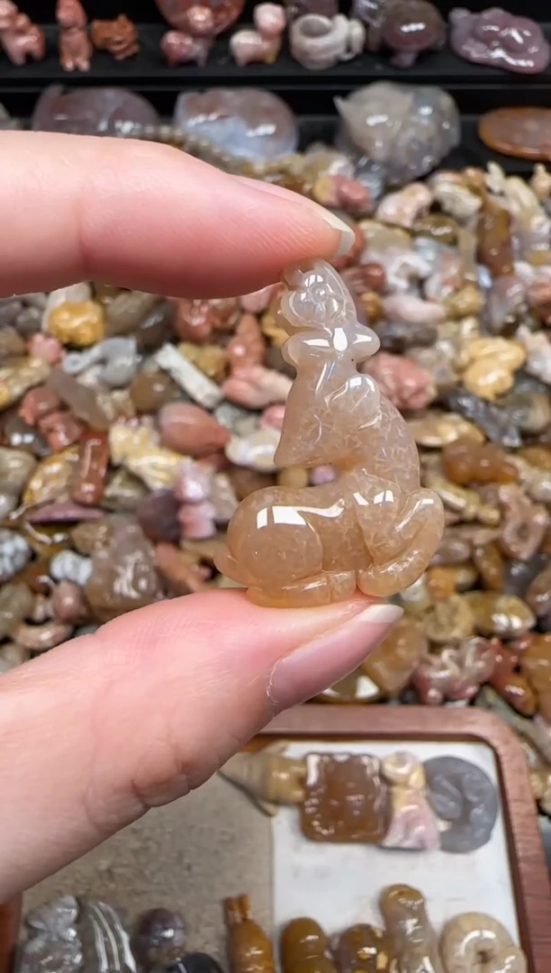 颈饰未镶嵌硅化珊瑚（珊瑚玉）661