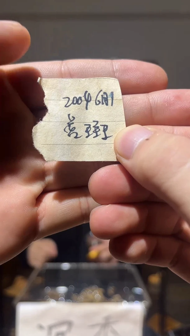 沉香沉香碎屑cccc车珠料10罐