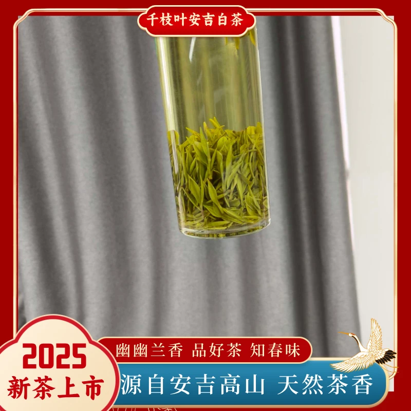 【兰花香头芽K3-65】2025新茶安吉白茶核心产区开园头采原产地好茶