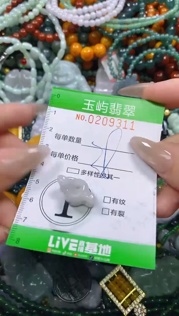 颈饰未镶嵌翡翠闪购0209311