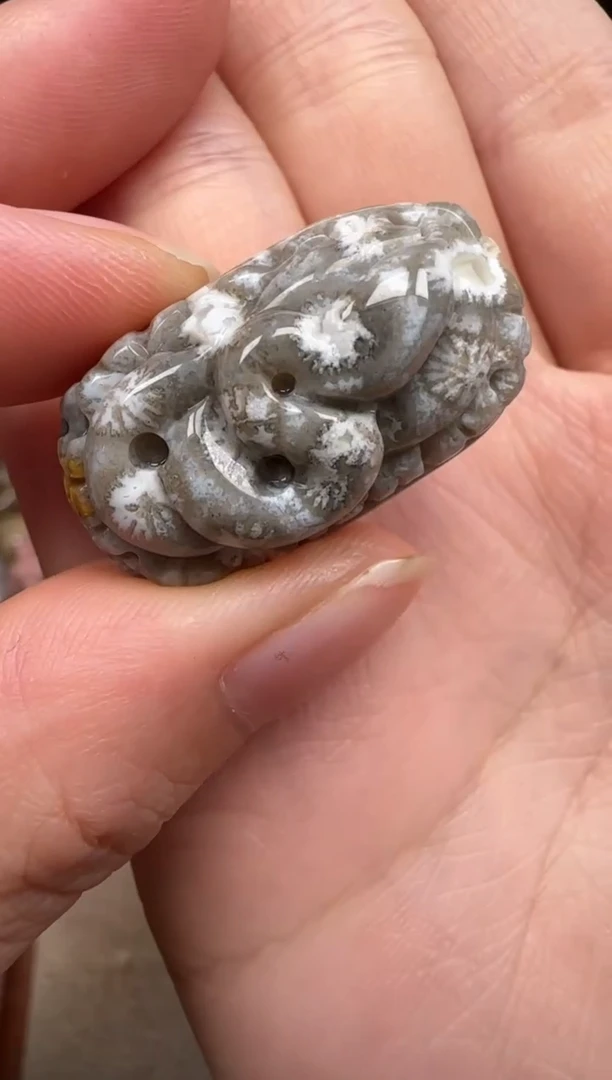 硅化珊瑚（珊瑚玉）未镶嵌颈饰737