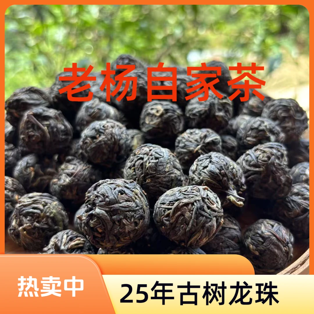 新人品鉴 老杨自家茶园 2025年春白莺古树龙珠  ( 普洱生茶）