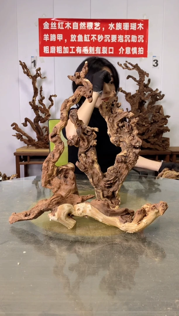 【闪购商品】木金丝红木 羊蹄甲