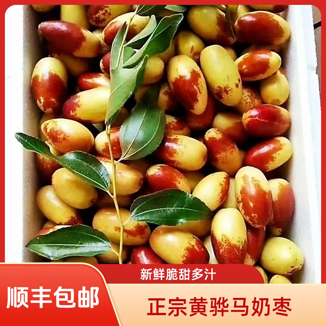 【顺丰包邮】河北黄骅马奶枣长枣脆甜皮薄大果孕妇水果