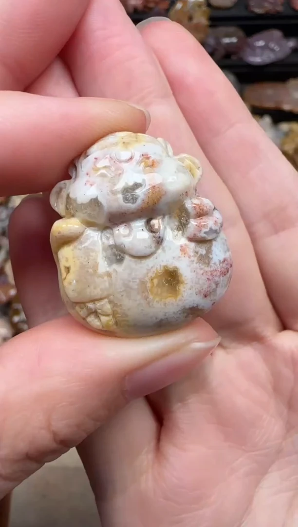 颈饰未镶嵌硅化珊瑚（珊瑚玉）724