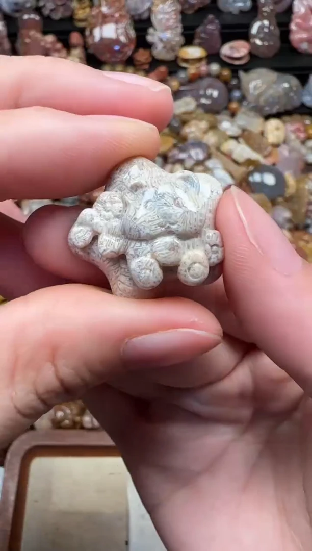 颈饰未镶嵌硅化珊瑚（珊瑚玉）526