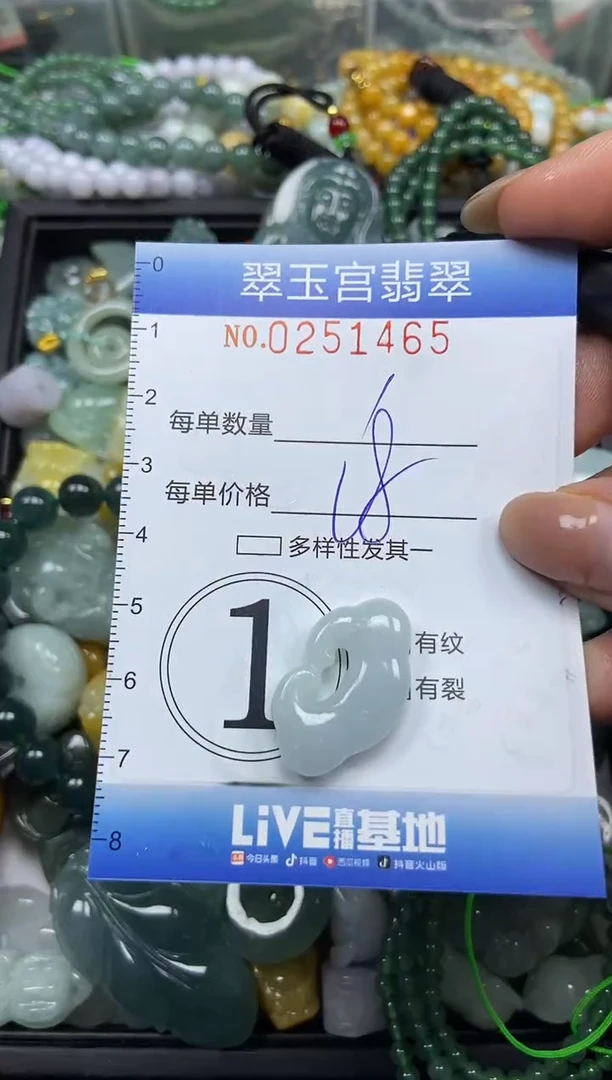 颈饰未镶嵌翡翠闪购C0251464