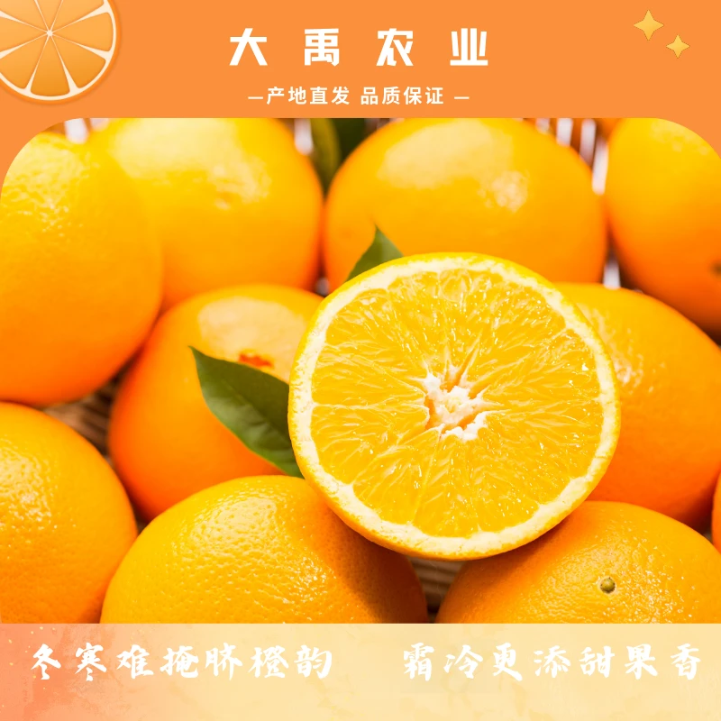 原产地正宗赣南脐橙