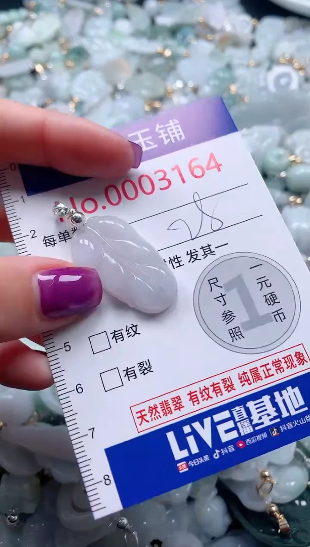 颈饰未镶嵌翡翠3164