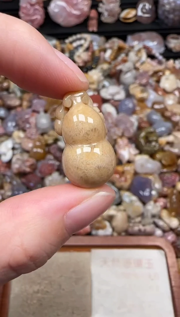 颈饰未镶嵌硅化珊瑚（珊瑚玉）516