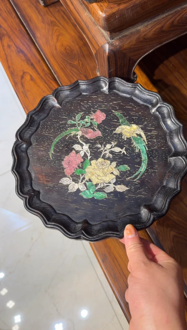 木长尾鸟圆盘88.8888888