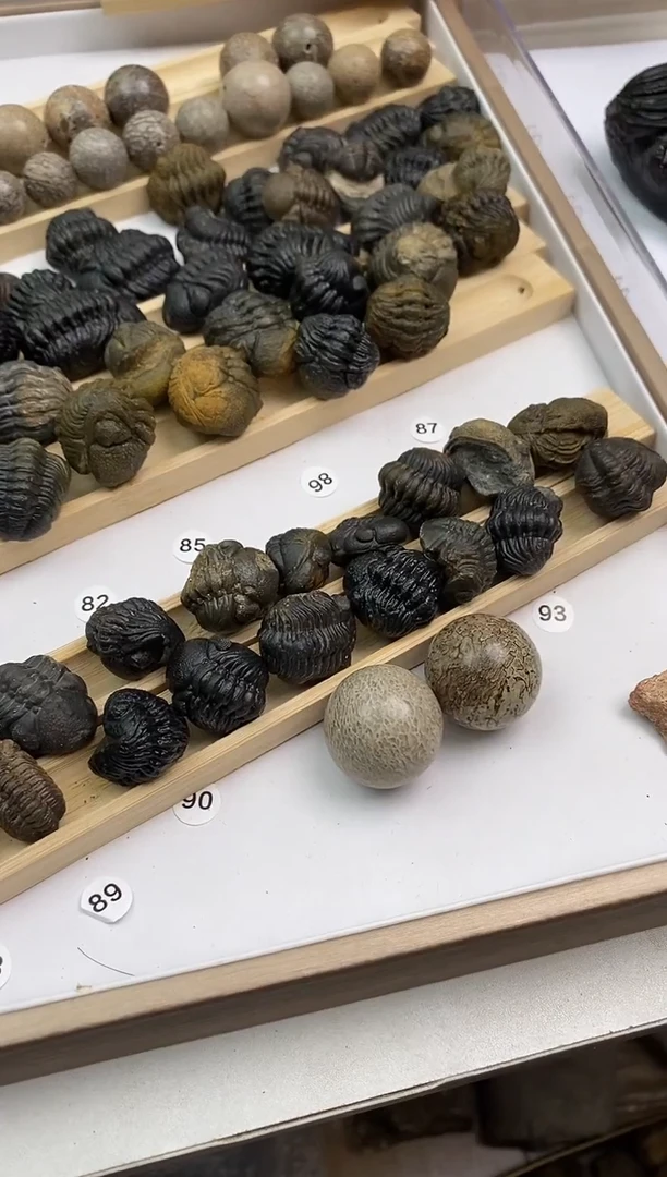 精美摆件创意礼物家居配饰新年礼物个人收藏